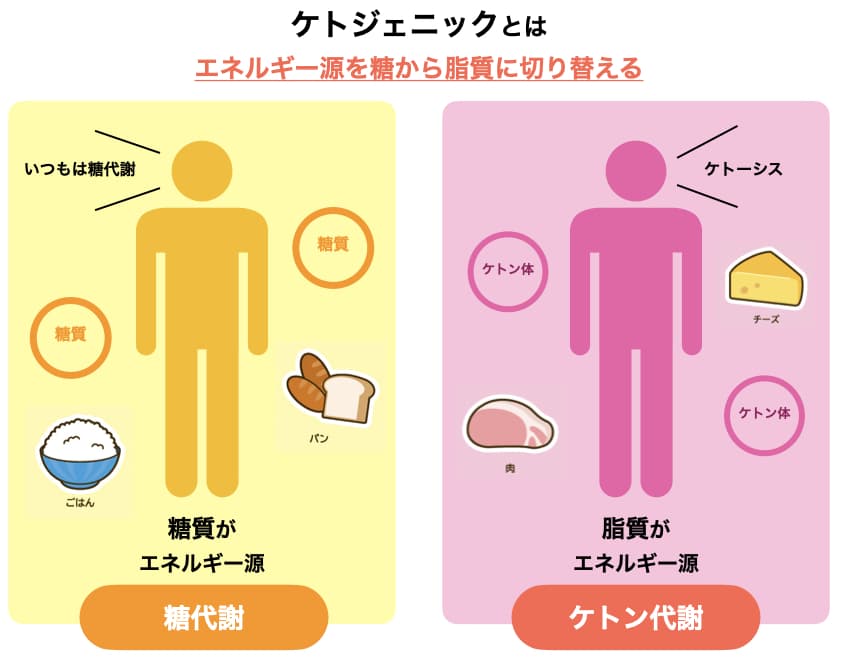 乱れた食生活を避ける
